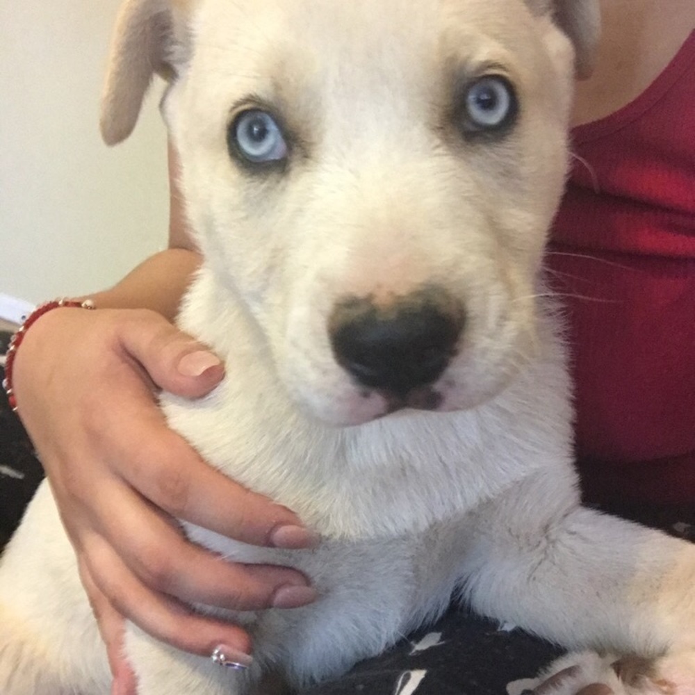 Meet your Posher, Yajaira